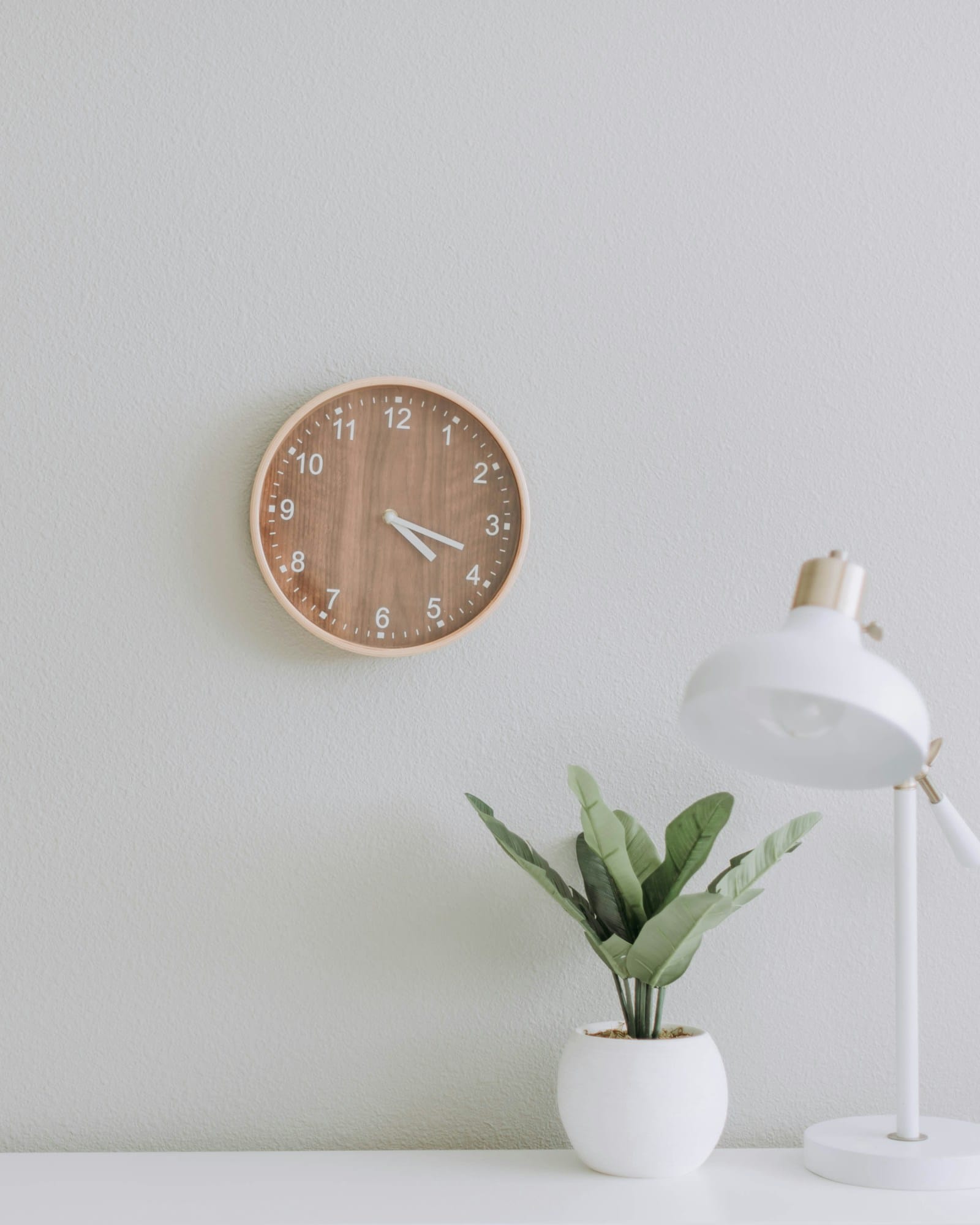 A detail of the foyer wall, with a timber clock and a single plant